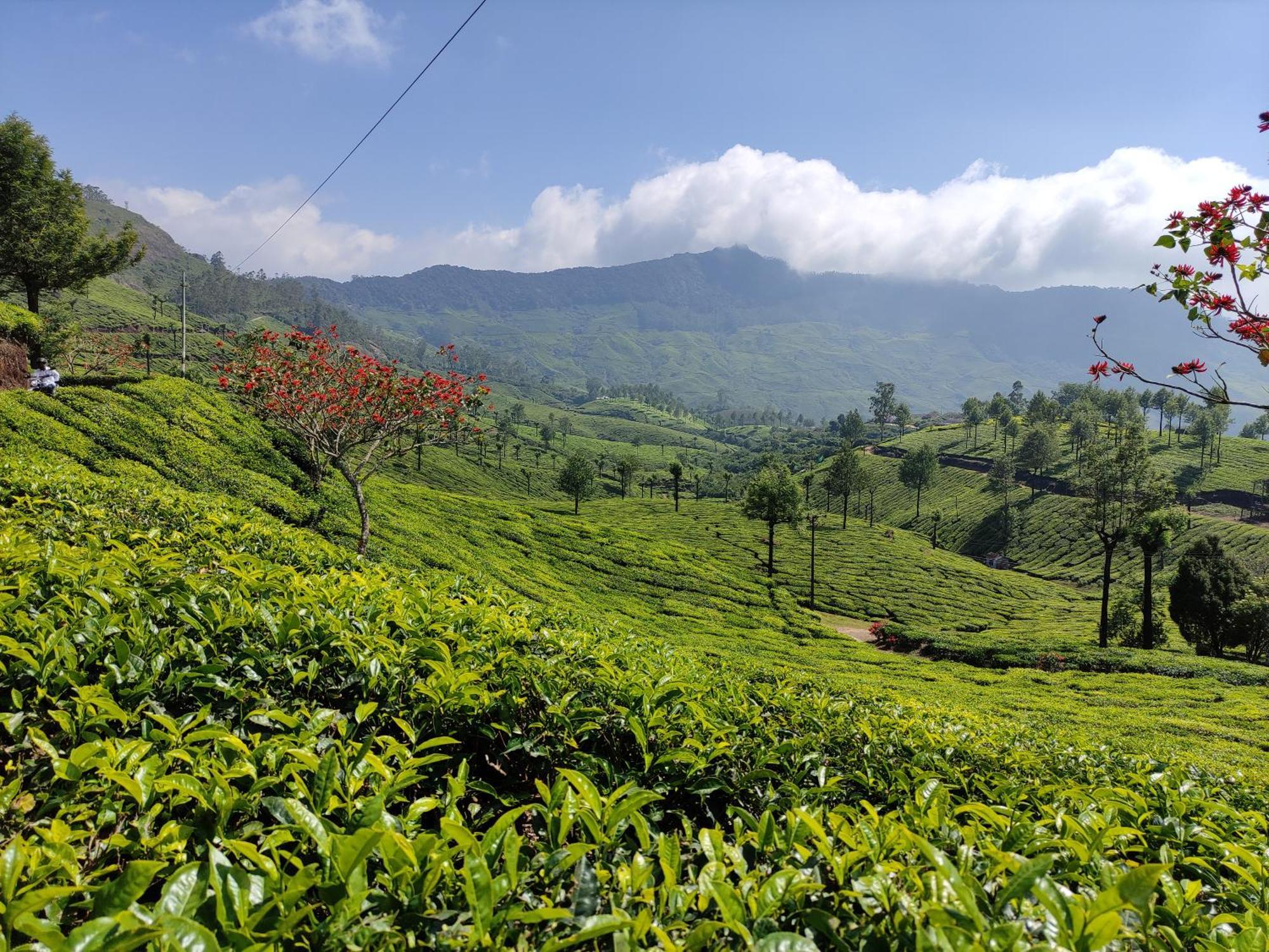 Munnar Village Homes Екстер'єр фото